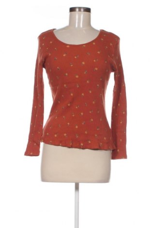 Γυναικεία μπλούζα Jean Pascale, Μέγεθος L, Χρώμα Καφέ, Τιμή 6,46 €