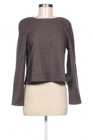 Damen Shirt Kookai, Größe XS, Farbe Braun, Preis 33,40 €