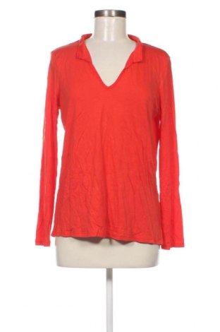 Damen Shirt Massimo Dutti, Größe L, Farbe Orange, Preis € 33,40