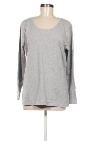 Γυναικεία μπλούζα My Wear, Μέγεθος XXL, Χρώμα Γκρί, Τιμή 4,47 €