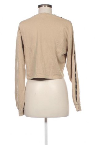 Damen Shirt Pull&Bear, Größe S, Farbe Beige, Preis 1,98 €