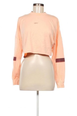 Γυναικεία μπλούζα Reebok, Μέγεθος XS, Χρώμα  Μπέζ, Τιμή 10,52 €