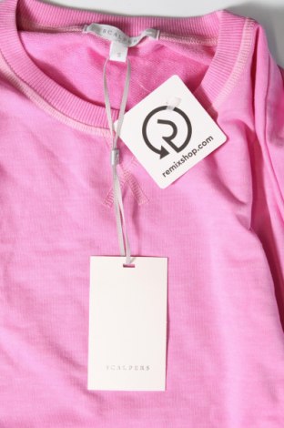 Γυναικεία μπλούζα Scalpers, Μέγεθος S, Χρώμα Ρόζ , Τιμή 22,27 €