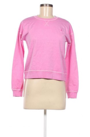 Дамска блуза Scalpers, Размер S, Цвят Розов, Цена 108,00 лв.