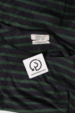 Γυναικεία μπλούζα Seasalt, Μέγεθος XL, Χρώμα Πολύχρωμο, Τιμή 11,57 €