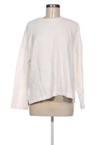 Damen Shirt Stradivarius, Größe L, Farbe Weiß, Preis € 5,95