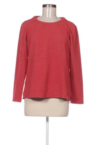 Γυναικεία μπλούζα Tom Tailor, Μέγεθος L, Χρώμα Κόκκινο, Τιμή 5,26 €
