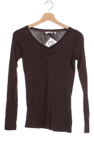 Γυναικεία μπλούζα Tom Tailor, Μέγεθος XS, Χρώμα Καφέ, Τιμή 23,40 €