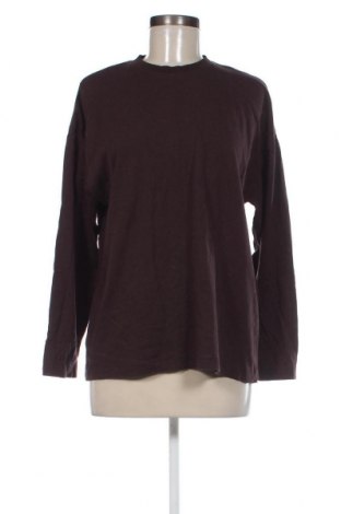 Damen Shirt Zara, Größe S, Farbe Braun, Preis 18,79 €