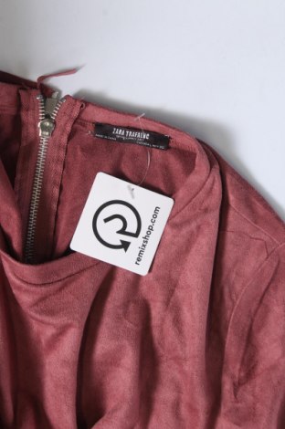 Damen Shirt Zara Trafaluc, Größe L, Farbe Aschrosa, Preis € 5,57