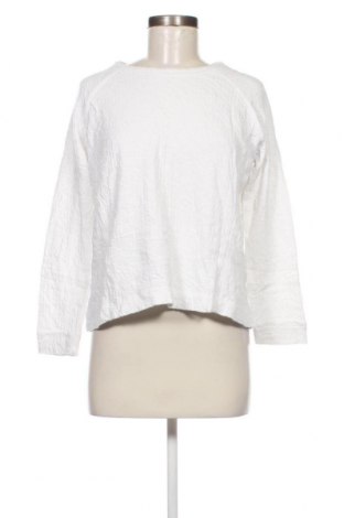 Damen Shirt Zara Trafaluc, Größe M, Farbe Weiß, Preis 18,79 €