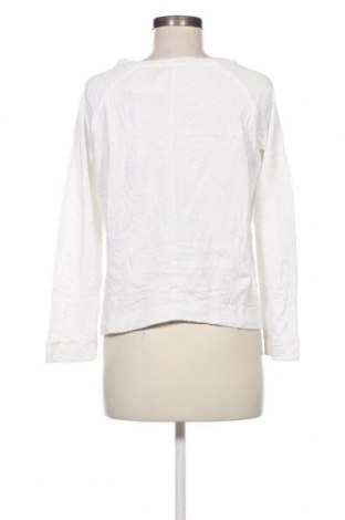 Damen Shirt Zara Trafaluc, Größe M, Farbe Weiß, Preis 18,79 €