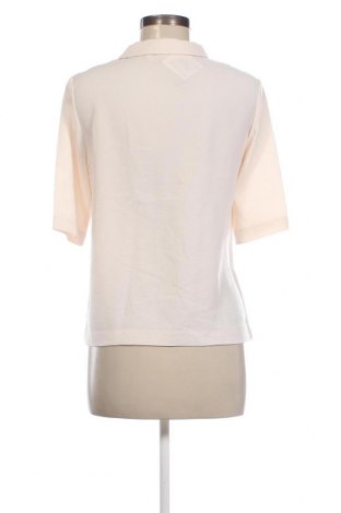 Damen Shirt Zara Trafaluc, Größe S, Farbe Ecru, Preis € 10,00