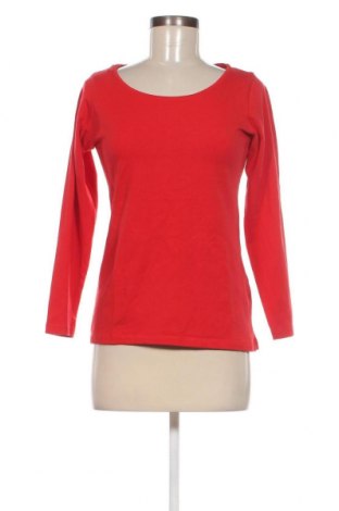 Damen Shirt Zeeman, Größe L, Farbe Rot, Preis € 13,26