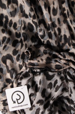 Γυναικεία μπλούζα Zero, Μέγεθος XS, Χρώμα Πολύχρωμο, Τιμή 10,54 €