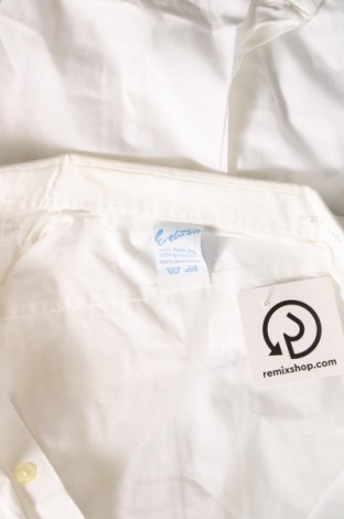Γυναικείο πουκάμισο, Μέγεθος XL, Χρώμα Λευκό, Τιμή 13,00 €