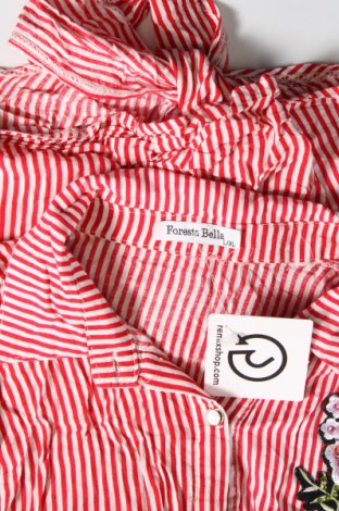 Dámska košeľa , Veľkosť L, Farba Viacfarebná, Cena  5,76 €