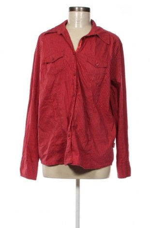 Γυναικείο πουκάμισο Cecil, Μέγεθος XL, Χρώμα Κόκκινο, Τιμή 17,00 €