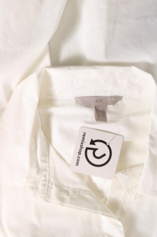 Γυναικείο πουκάμισο H&M, Μέγεθος XL, Χρώμα Εκρού, Τιμή 6,54 €