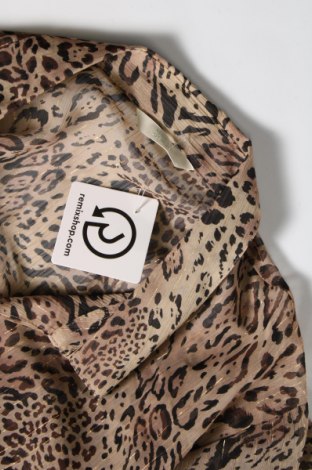Γυναικείο πουκάμισο Marks & Spencer, Μέγεθος XXL, Χρώμα  Μπέζ, Τιμή 11,02 €
