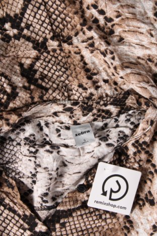 Γυναικείο πουκάμισο Zebra, Μέγεθος S, Χρώμα Πολύχρωμο, Τιμή 3,09 €
