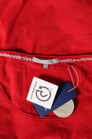 Dámske tričko Cecil, Veľkosť XL, Farba Červená, Cena  10,58 €
