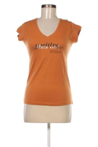 Γυναικείο t-shirt Motivi, Μέγεθος XS, Χρώμα Καφέ, Τιμή 11,34 €