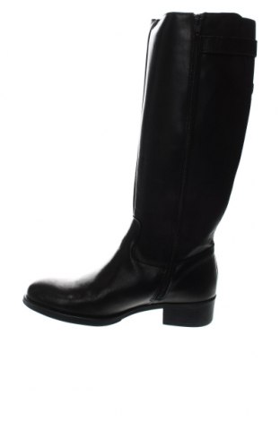 Γυναικείες μπότες Elodie, Μέγεθος 39, Χρώμα Μαύρο, Τιμή 45,00 €