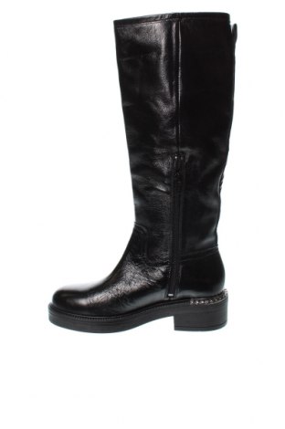 Damenstiefel Jonak, Größe 36, Farbe Schwarz, Preis € 53,99