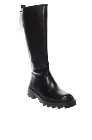 Damenstiefel Mango, Größe 39, Farbe Schwarz, Preis € 37,11