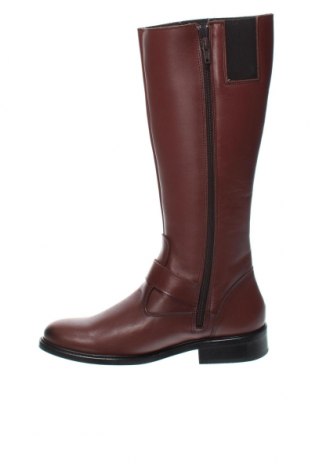 Damenstiefel Segarra, Größe 38, Farbe Braun, Preis 47,09 €