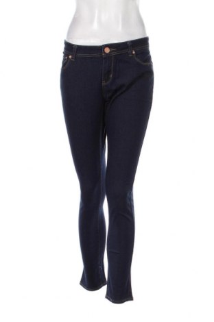 Damen Jeans Denim Co., Größe L, Farbe Blau, Preis 4,84 €