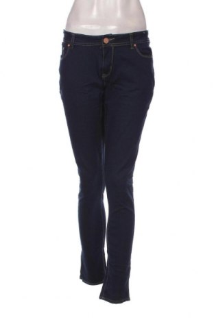 Damen Jeans Denim Co., Größe L, Farbe Blau, Preis 11,10 €