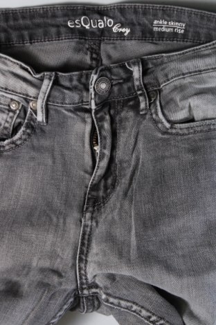 Damen Jeans Esqualo, Größe S, Farbe Grau, Preis 5,71 €