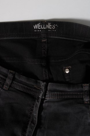 Dámske džínsy  Wellness, Veľkosť XL, Farba Sivá, Cena  7,94 €