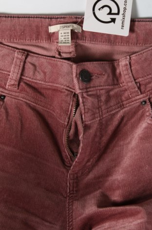 Pantaloni de velvet de femei Esprit, Mărime M, Culoare Mov deschis, Preț 67,98 Lei