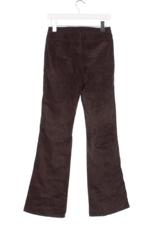 Pantaloni de velvet de femei Timeout, Mărime XS, Culoare Maro, Preț 114,07 Lei