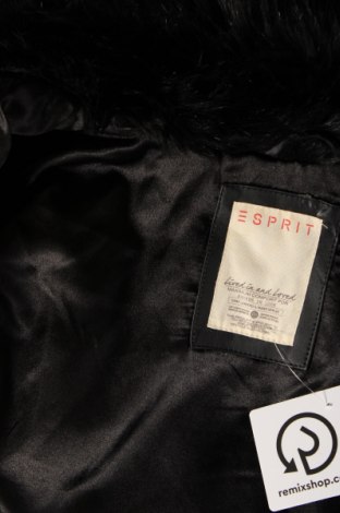 Dámská vesta  Esprit, Velikost XS, Barva Černá, Cena  297,00 Kč