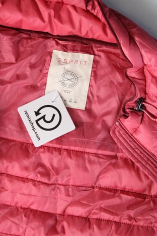 Dámská vesta  Esprit, Velikost XXL, Barva Růžová, Cena  617,00 Kč