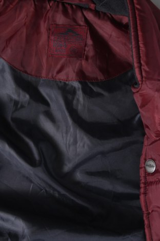 Γυναικείο γιλέκο Watson's, Μέγεθος XL, Χρώμα Κόκκινο, Τιμή 12,70 €