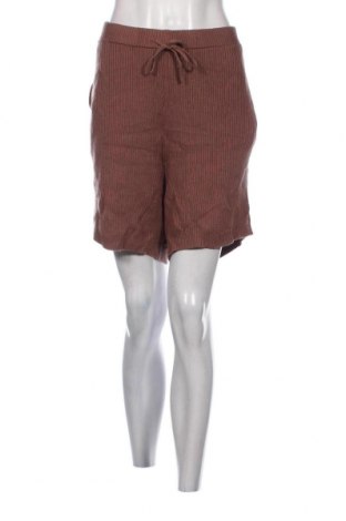 Γυναικείο κοντό παντελόνι Abercrombie & Fitch, Μέγεθος XL, Χρώμα Καφέ, Τιμή 23,16 €