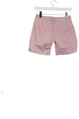 Дамски къс панталон Calliope, Размер XS, Цвят Многоцветен, Цена 18,77 лв.