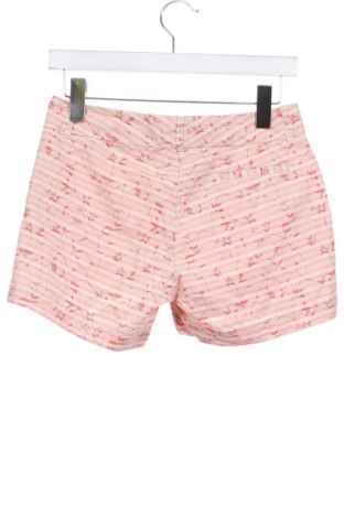 Damen Shorts Conte Of Florence, Größe M, Farbe Rosa, Preis € 10,56