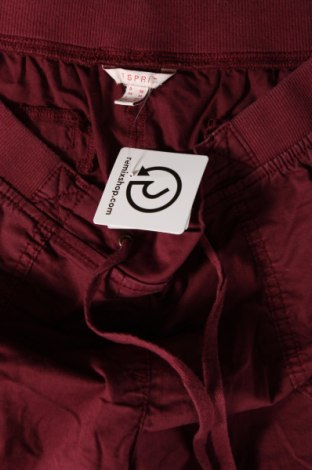 Damen Shorts Esprit, Größe S, Farbe Rot, Preis € 10,20