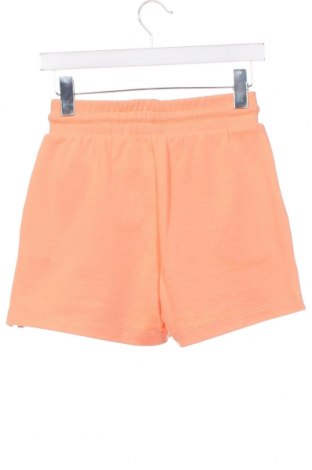 Damen Shorts Pepe Jeans, Größe XS, Farbe Orange, Preis 22,27 €