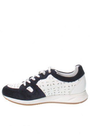 Γυναικεία παπούτσια, Μέγεθος 40, Χρώμα Πολύχρωμο, Τιμή 26,64 €