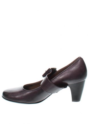 Γυναικεία παπούτσια Caprice, Μέγεθος 37, Χρώμα Βιολετί, Τιμή 55,21 €