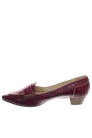Γυναικεία παπούτσια Donna Carolina, Μέγεθος 41, Χρώμα Βιολετί, Τιμή 50,16 €