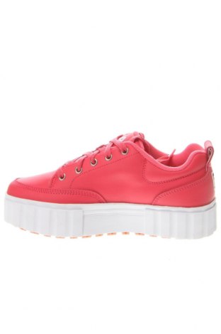 Damenschuhe FILA, Größe 36, Farbe Rosa, Preis € 41,86