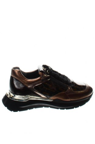 Дамски обувки Hogl, Размер 36, Цвят Многоцветен, Цена 159,00 лв.
